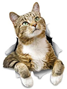 Winston & Bear 3D Cat Stickers - 2 Pack - Pondering Tabby Stickers for Wall, Fridge, Toilet and More - Retail Packaged Tabby Cat Stickers
