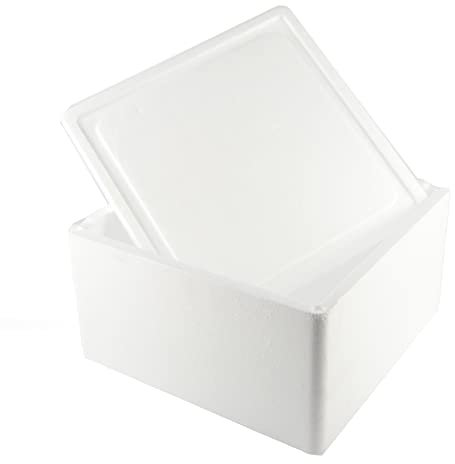 DUE ESSE S.N.C. DI SABATINI ALDO & C. PZ 1 SCATOLA TERMICA BIANCA QUADRATA MISURE 29 X 29 CM+ COPERCHIO CASSA PER ASPORTO ALIMENTI