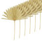 Vycowb 6 Pièces Grandes Feuilles de Palme Séchées Éventails de Palme Séchés Naturels Bouquet de Séchés Décorations de Mariage Feuilles de Palme Éventail Séchées