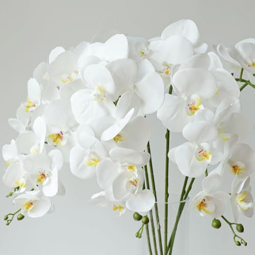 JPORSHU Künstliche Phalaenopsis-Blumen, künstliche Orchideen, Blätter, Stielpflanzen, für Zuhause, Büro, Hochzeit, Tischdekoration, 6 Stück (weiß)