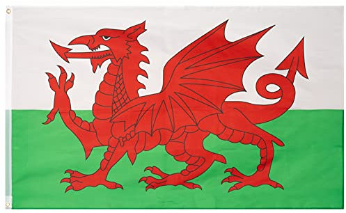 MUWO Flagge Nations Together 90 x 150 cm Nationalmanschaften, doppelseitige Gartenflagge, wetterfeste Fanflagge, Fußballflagge Polyester Länderfagge Deutschland mit Ösen (Wales)