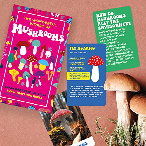 Gift Republic - The Wonderful World of Mushrooms Card Pack - Educational Flash Cards for Learning and Identifying Fungi