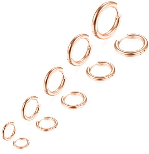 LICHUANUK Creolen Silber Ohrringe Creolen Klein Ohrringe Set für Damen Mädchen,5 Paar Ohrringe Herren Huggies Klein Creolen Set Zierliche Knorpel Tragus Helix Schlafen Ohrringe 8mm-16mm,Roségold