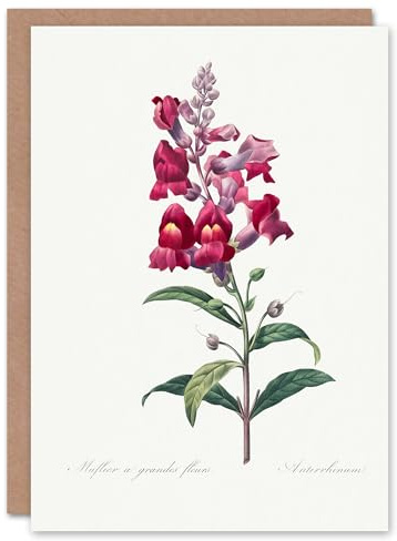Artery8 Pierre-Joseph Redouté Art Card Antirrhinum Dragon Flowers