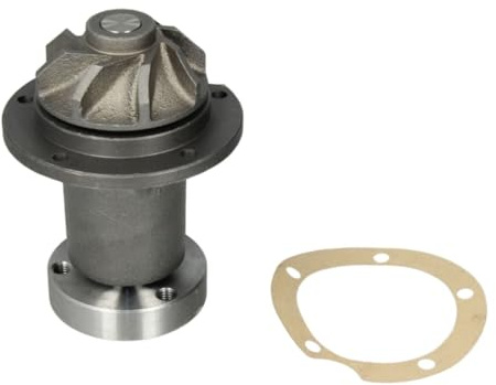 Hepu P159 Wasserpumpe