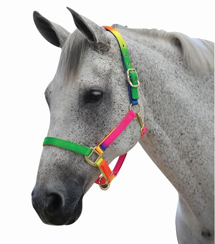 Roma Rainbow Headcollar, Pony