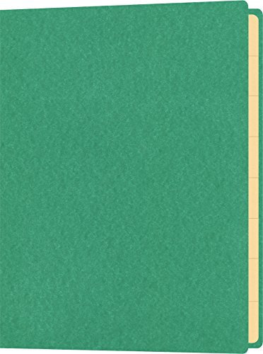 RNKVERLAG 4561-5 - Mappe mit Gummizug für Inhalte bis DIN A5, 18 x 25 cm, mit 10 Registerblättern, grün, 1 Stück