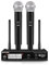 D Debra VHF - Microfono wireless wireless con doppio microfono portatile con interfaccia XLR, ricevitore per karaoke, riunioni, feste, chiesa, DJ, matrimoni, canto, 79,2 m