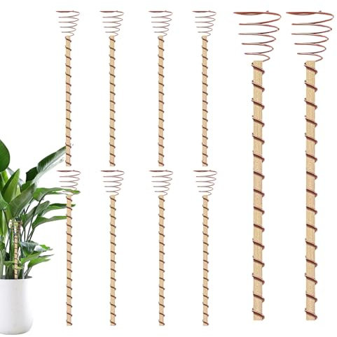 10pcs Electroculture Plant Stakes - Long Copper Garden Stakes, Copper Coil Antennas High Yield | Electro Culture Antennas Growing Indoor Outdoor Plants, Wire Tools Pyramid Tensor Rings Kit Fruits and