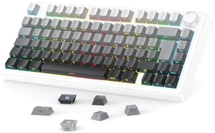 OMOTON Deutsches PBT Sideprinte Cherry Profil Tastenkappen, Grauverlauf | 127 Tasten ANSI/ISO Layout Doppelshot Keycaps für 61/68/84/87/96/108 MX Switches Mechanische Tastaturen