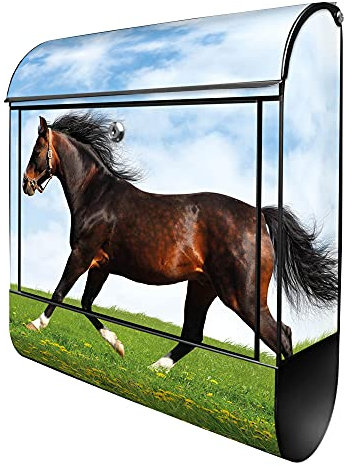 banjado® Design Briefkasten mit Pferd 38,5x46,5x13cm & 2 Schlüssel - Briefkasten Stahl schwarz mit Zeitungsfach pulverbeschichtet - Postkasten A4 Einwurf inkl. Montagematerial
