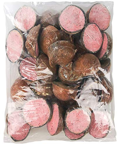 SQUAWK Berry Suet Filled Coconut Halves | Premium Garden Wild Bird Food | Protein-Rich High Energy Feed | Sunflower Seeds and Cereal Oat | Healthy Development for Birds | Year-Round Feeding (30 Pack)