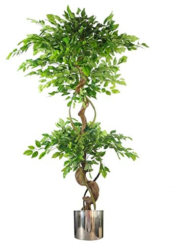 Leaf Realistic Artificial Japanese Fruticosa Ficus Tree, Twisted Large Silver, 150cm (5ft)