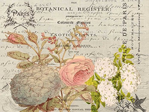 Feeling at home LEINWANDDRUCK im SCHATTENFUGENRAHMEN Ville de Parise Jordan Elizabeth - Blumen horizontal Kunstbilder im Holzrahmen cm_58_X_77