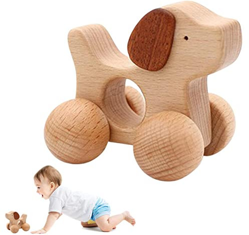 Ecoticfate Kleines Kleinkind-Schubauto - Kleine hölzerne Baby-Spielzeugautos - Hölzernes Kleinkind-Auto-Spielzeug, Lerne zu Klettern und zu Krabbeln 9 10 Monate altes Babyspielzeug, Feinmotorik
