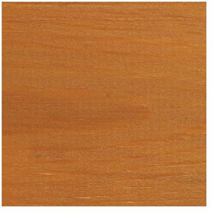 Protek Wood Stain and Protect 2.5L - Gold