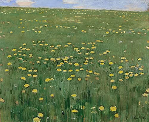 IPLUPJDY Bilder Moderne Kunst Gemälde WandgemäLde Die Blumenwiese Von Ferdinand Hodler Leinwand Malerei Poster für Wanddekoration 60x90cm