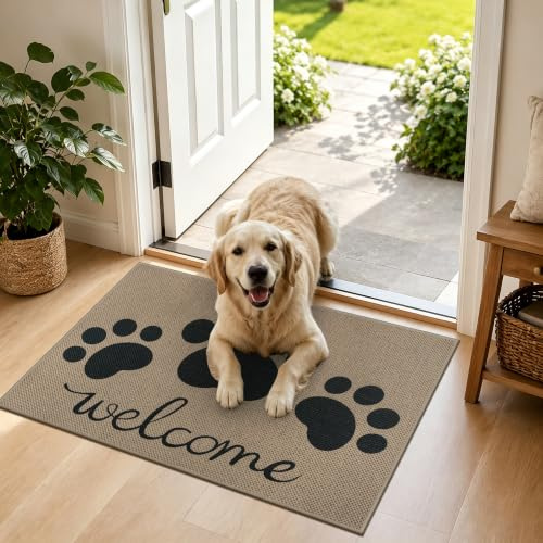 Capslpad Fußmatte außen und Innen 50 x 80 cm, Waschbar rutschfeste Schmutzfangmatte, Absorbierend Dünne Türmatte, Fussmatte Aussen für Hund, Eingang, Eingangsbereich, Balkon, Schwarz