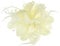 5230 Elfenbein-Stoffblume/fascinator, mit Perlen-Brosche & pin.Wedding Rennen