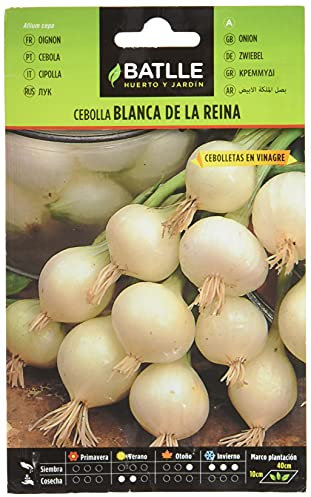 Semillas Batlle Cebolla Blanca de la REINA