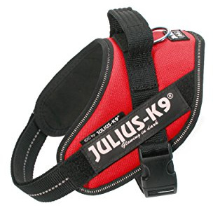 Julius-K9 IDC-Powergeschirr für Hunde mit zwei kostenlosen benutzerdefinierten Aufnähern, rot Mini-Mini