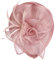 carol -1 Damen Fascinator Blumen Netz Braut Kopfschmuck Haar Clip Hut Feder Haarschmuck Kopfbedeckung für Party Kirche Hochzeit Cocktail Jockey Club Schleier Hut Kopfband Haar-Accessoires