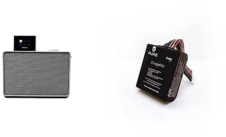 Pure Evoke Play portables Musiksystem für innen und außen DAB+/UKW Radio & Evoke Play ChargePAK wiederaufladbarer Akku für Evoke Play Musiksystem für mobilen Musikgenuss, 12 Stunden Akkulaufzeit