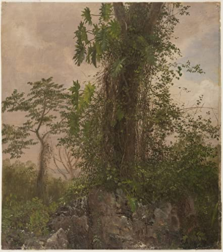 LeJdi Leinwandbilder Bild Poster Kunstdrucke Ölgemälde Feigenbaum Und Wilder Philodendron Von Frederic Edwin Church für Wanddekoration 60x90cm