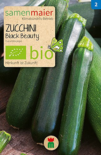 Samen Maier 826 Zucchini Black Beauty (Bio-Zucchinisamen)