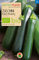Samen Maier 826 Zucchini Black Beauty (Bio-Zucchinisamen)