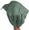 AFP Jutesack Pflanzen, grün, 60 x 110cm, 230g/qm Feste Qualität - Naturmaterial Winterschutz Rosen/Frostschutz Blumenkübel/Gartendeko / 2 Jutesäckchen gratis