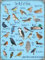 The A-Z Of Birds Blechschild Retro Blech Metall Schilder Poster Deko Vintage Kunst Türschilder Schild Warnung Hof Garten Cafe Toilette Club Geschenk