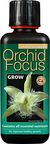 Growth Technology Engrais Liquide concentré de première qualité Orchid Focus Croissance 300ml
