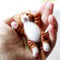 YSZ Faule Katze, die in der Hand liegt Filzwolle Set Include Tutorial, Enough Tool, für Anfänger 8cm