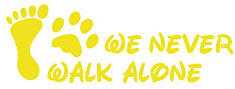 kleb-Drauf | 1 We Never Walk Alone | Gelb - matt | Wandtattoo Wandaufkleber Wandsticker Aufkleber Sticker | Wohnzimmer Schlafzimmer Kinderzimmer Küche Bad | Deko Wände Glas Fenster Tür Fliese