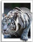 Instarry 5D Diamond Painting Zubehör Groß weißer Tiger Schlafzimmer Wohnzimmer Deko 60x40 cm