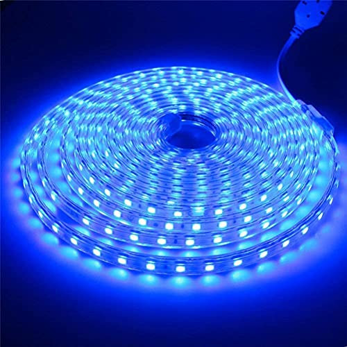 Tiras LED 220V Smd2835 14,4W/m Con Enchufe Sin Pegatina IP65 Impermeable, Luces Flexibles (50M, AZUL)