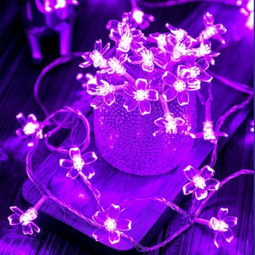 Kaleora Kirschblüten Lichterkette, 6 Meter 40 LED Blumen Lichterkette Batteriebetrieben, Lila Blüten Lichterketten Deko für Frühlingsdeko, Kinderzimmer, Garten, Bäume, Innen, Party Deko