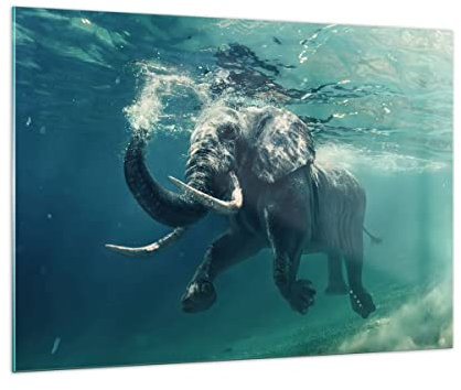 Moderne Impression sur Verre 100x70cm Image Tableau en Verre Decoration Murale éléphant animal eau Grand Tableaux Decoratifs Muraux Chambre Cuisine Horizontal Deco Cadre Salon Art Wall GAA100x70-3944