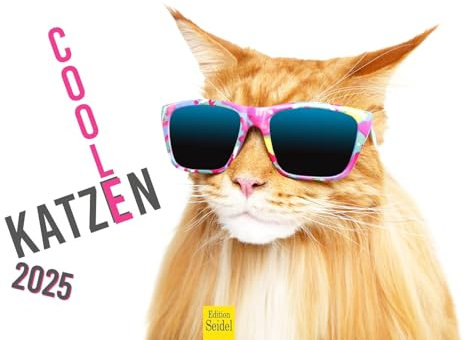 Edition Seidel Premium Kalender Coole Katzen 2025 Format DIN A3 Wandkalender Katzenkalender Haustiere Kätzchen Katze Kater Kitten lustige Sprüche