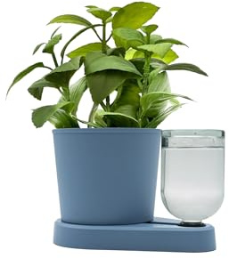 greevi kräuterheld | Selbstbewässernder Pflanztopf für Küchenkräuter | Made in Germany | Kunststoff (Standard/Glasflasche, Pastellblau)