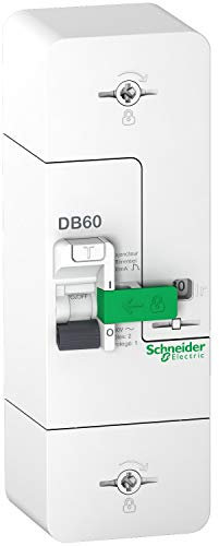 Schneider Electric - Resi9 DB60 - Disjoncteur Branchement - 1P+N - 60A fixe - 500mA - diff inst. - R9FT660