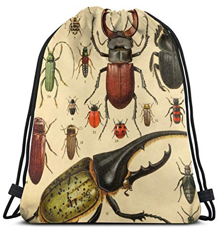Vintage Beetles Kordelzug Rucksack Gym Dance Tasche für Mädchen Frauen