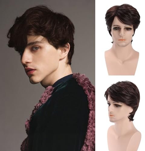 FAELBATY Kurze gewellte braune Perücke für Männer Realistische natürliche männliche Seitenteil Perücke Layered Cosplay Kostüm Party Tägliche Haar Synthetische (M0369)