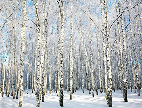 STROXTH WALLPAPER Papier Peint Panoramique Sur Mesure Soie Blanc Jungle Arbre Paysage Nature Effet 3d Salon Chambre Moderne Scène Neige Foret Bouleaux D'Hiver Adulte Enfant Poster Geant Mural
