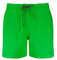 PUMA Shorts Pantaloncini, Verde 03, M Uomo