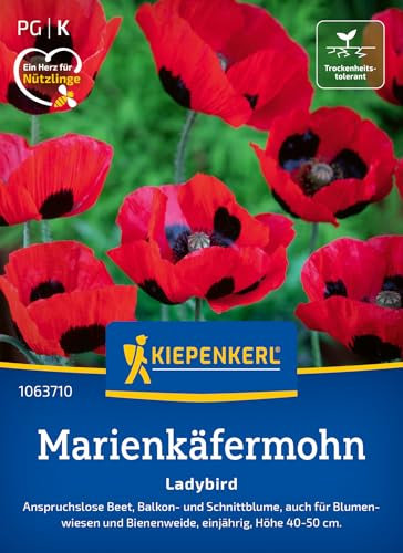 Kiepenkerl Marienkäfermohnsamen Ladybird 1063710 - Blumensamen für Beet, Balkon- und Schnittblumen mit einer Wuchshöhe von 40 bis 50 cm - Saatgut, Pflanzen