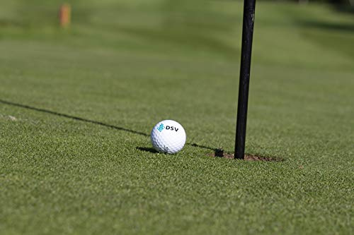Kiepenkerl 4000159623729 DSV 417 Golfrasen Grün Nachsaat 10 kg