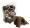 Zoofirst 10 kg Rinderlunge Lunge getrocknet fettarm Hundefutter Snack Leckerli Kauartikel