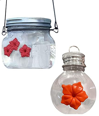 HomeSoGood 2 Pack Mason Jar Hummingbird Feeder,Wild Birds Feeding Jar,Bird Hanging Feeder Outdoor Garden Decorations(Transparent)